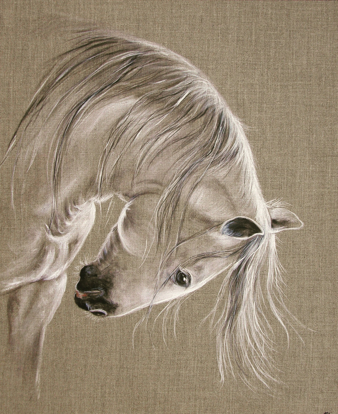 Tableau Cheval en liberté