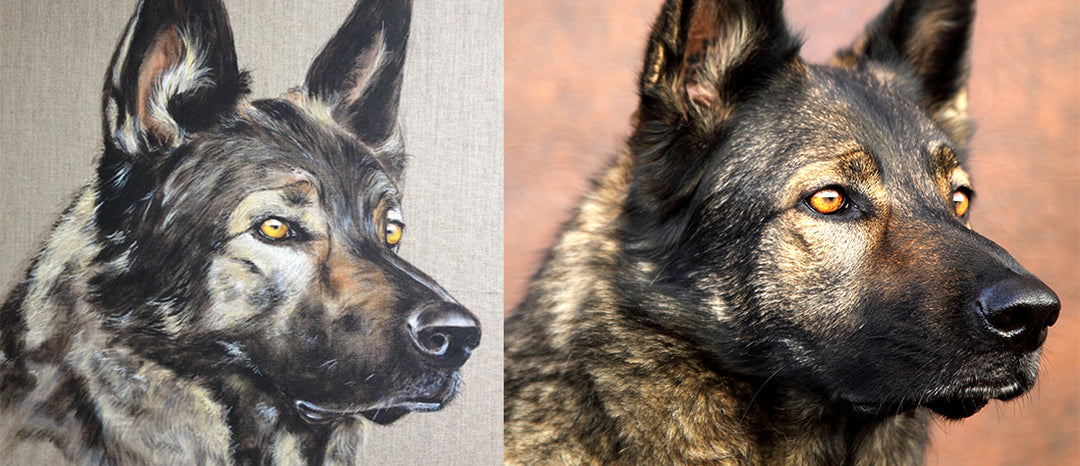 commande portrait de chien berger personnalisé odile laresche peintre animalier